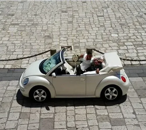 New beetle